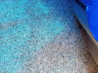 Heyvanlar üçün arpa 34 qəpikdən 6 ton var Toxumluq təmiz arpa 40 qəpik — 照片 5