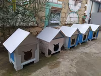 Salam yuvalar pişik ve balaca itlər üçün təzədi balacadan böyüyə — zdjęcie 1