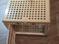 Quş və Hamster saxlamaq üçün qəfəs. Pişik və balaca itləri daşımaq — foto 1
