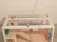 Hamster/kiçik gəmirici üçün geniş taxta — фото 1