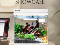 Գործարանային Ակվարիում SUNSUN HEJ-380 22լ, 4W LED (Аквариум, Aquarium) ԱՆՎՃԱՐ Առաքում Երևանում — الصورة 1