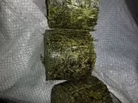 Vindem furaj granulat pentru chinchilla si nisip tratat. — 照片 2