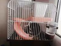 Hamster üçün tam dəst qəfəs - Material: möhkəm metal barmaqlıqlar və — الصورة 2