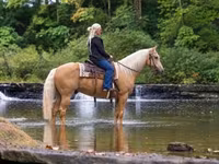 At, Palomino — foto 2