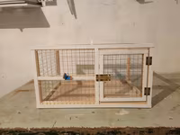 Dovşan,hamster,şinşila,bildirçin,cücə,xamyak,pişik,quş ve s kimi ev — Foto 1