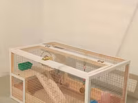 Hamster/kiçik gəmirici üçün geniş taxta — фото 2