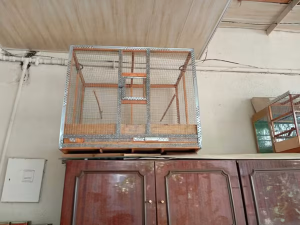 Metalkarkaslı quş qəfəsi - Material: sinklənmiş metal profil və sıx