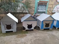 Salam yuvalar pişik ve balaca itlər üçün təzədi balacadan böyüyə — zdjęcie 2