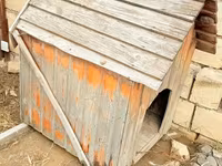 Taxta it evi - Material: təbii taxta lövhələr, ikiqat maili dam — الصورة 2