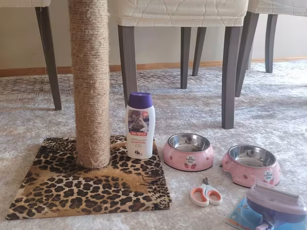 Pişik üçün aksesuar və qulluqlu paket - yeni :Dırmaşma və caynaqlama