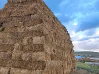 Խոդի տուկ խոդ խամի խոդ — фото 5