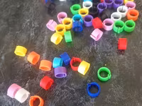 Məhsul: Rəngli quş ayaq halqaları (klips tipli) - Material: Yüngül və — Foto 2