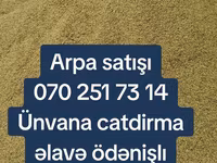 Arpa topdan satış - Yemlik arpa - Minimum sifariş miqdarı: 25 ton - — foto 1