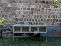 Նապաստակի բուն տնակ — الصورة 1