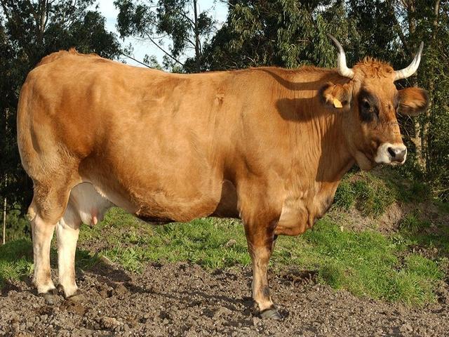 Asturiya Doline