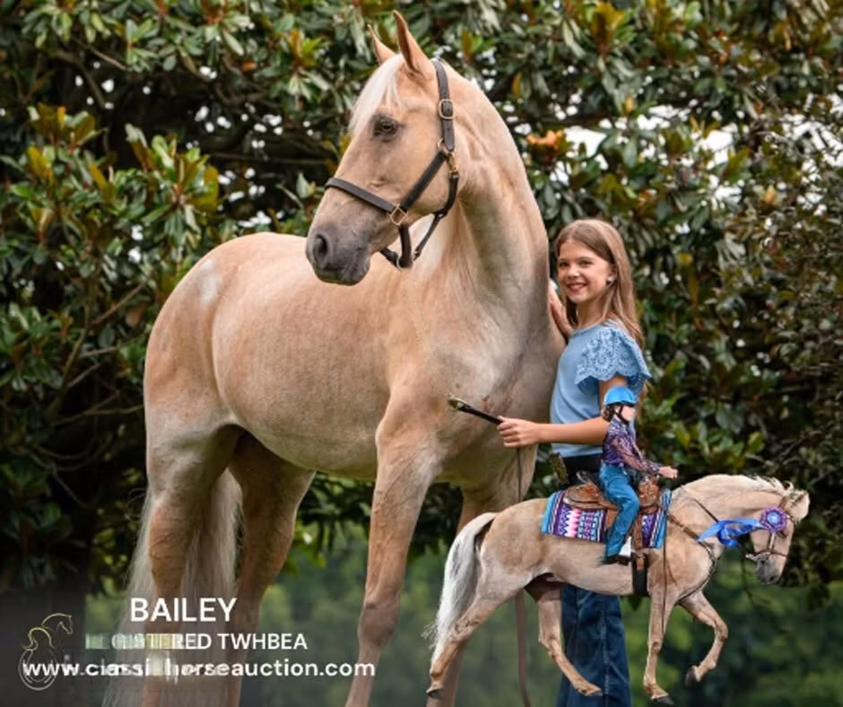 Palomino